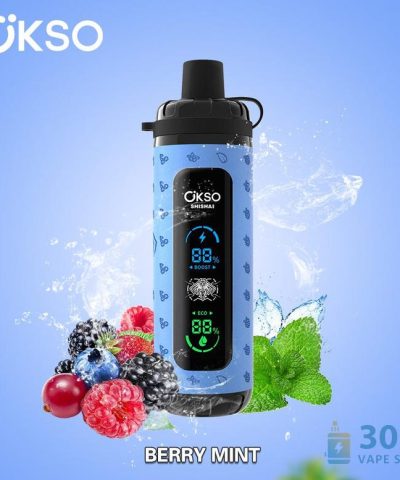 OKSO Shisha Max 40000 Vape na jedno použití - 40 tisíc šluků, síťová cívka | Dobíjecí zařízení