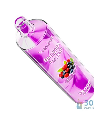 Vapme Shisha 15000 使い捨てベイプ - 15000パフ、充電式、24フレーバー