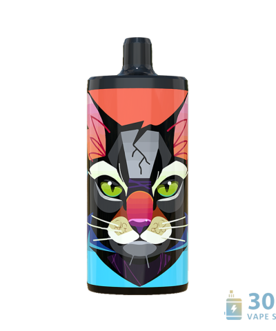 Vapsolo King 10000 jednorazowy Vape - 10 tys. zaciągnięć, 20 ml E-Liquidu, regulowany przepływ powietrza