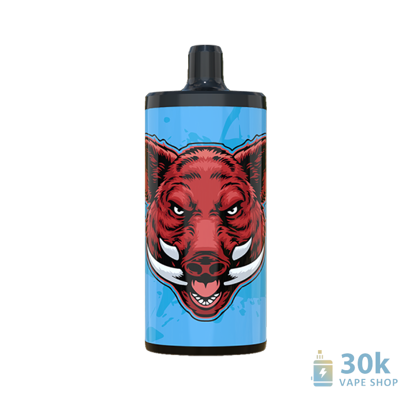 Vapsolo King 10000 Disposable Vape - 10K Puffs, 20mL E-Liquid, Adjustable Airflow - зображення 2